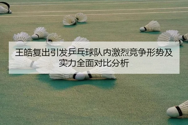 王皓复出引发乒乓球队内激烈竞争形势及实力全面对比分析（NANGONG SPORTS）